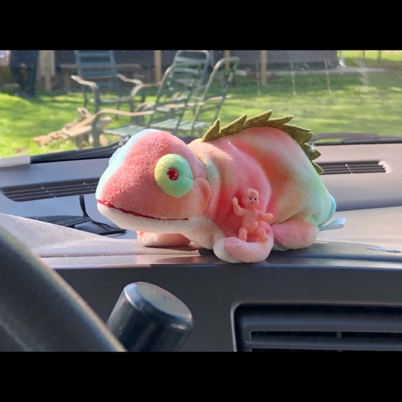 Meet your Posher, Julieta - Picture 1 of 1